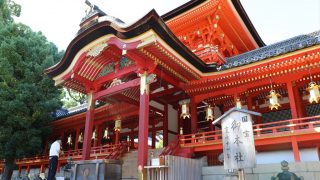 水野清介作鉋 我逢人（がほうじん） 寸八 K120スウェーデン鋼 桐